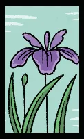 Mazo de OpenCards Hanafuda Deck Design by Luisa Kwiatkowska — sample 4 Mazo de OpenCards Hanafuda Deck Design by Luisa Kwiatkowska — sample card 4