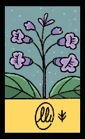 Baralho da OpenCards Hanafuda Deck Design by Luisa Kwiatkowska — sample card 2