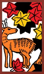 Awa Pattern (without metallic overprints) Hanafuda Deck Design by Suryong — sample card 4