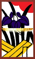 Awa Pattern (with metallic overprints) Hanafuda Deck Design by Suryong — sample card 1