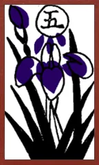 Awa Pattern (with metallic overprints) Hanafuda Deck Design by Suryong — sample card 2