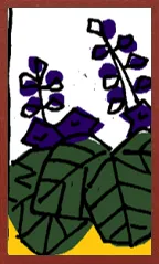 Bizen Pattern (without metallic overprints) Hanafuda Deck Design by Suryong — sample 2 Bizen Pattern (without metallic overprints) Hanafuda Deck Design by Suryong — sample card 2