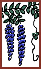 Cartoon Hanafuda Hanafuda Deck Design by Suryong — sample card 2