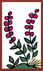 만화 하나후다 Hanafuda Deck Design by 수령 — sample card 2