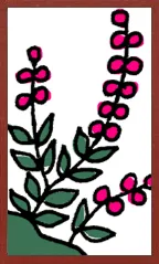 Cartoon Hanafuda Hanafuda Deck Design by Suryong — sample card 3