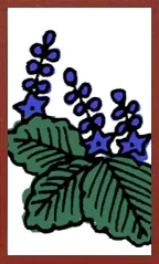 Cartoon-Hanafuda Hanafuda Deck Design by Suryong — sample 1 Cartoon-Hanafuda Hanafuda Deck Design by Suryong — sample card 1