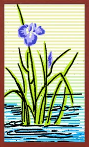Hanafuda colecionável Hanafuda Deck Design by Suryong — sample card 1