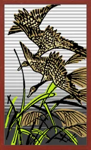 Collectible Hanafuda Hanafuda Deck Design by Suryong — sample card 1
