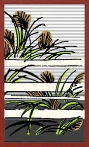 Sammler-Hanafuda Hanafuda Deck Design by Suryong — sample 1 Sammler-Hanafuda Hanafuda Deck Design by Suryong — sample card 1