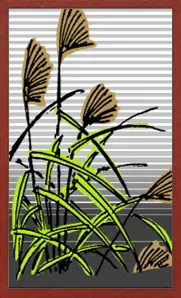 Collectible Hanafuda Hanafuda Deck Design by Suryong — sample 4 Collectible Hanafuda Hanafuda Deck Design by Suryong — sample card 4