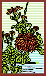 Collectible Hanafuda Hanafuda Deck Design by Suryong — sample card 1