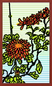 संग्रहणीय Hanafuda Hanafuda Deck Design by सूर्योंग — sample card 3