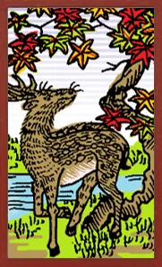 Collectible Hanafuda Hanafuda Deck Design by Suryong — sample card 3