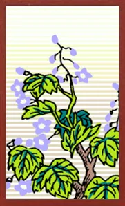 Hanafuda coleccionable Hanafuda Deck Design by Suryong — sample 3 Hanafuda coleccionable Hanafuda Deck Design by Suryong — sample card 3