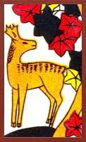 대련 패턴 Hanafuda Deck Design by 전통적인 — sample card 3