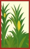 Doitsu-Hanafuda Hanafuda Deck Design by Charlotte @シャーロット — sample card 1