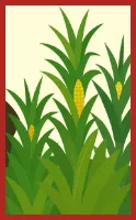 Doitsu-Hanafuda Hanafuda Deck Design by Charlotte @シャーロット — sample 1 Doitsu-Hanafuda Hanafuda Deck Design by Charlotte @シャーロット — sample card 1