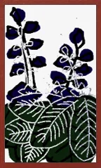 Echigo-Muster Hanafuda Deck Design by Suryong — sample 2 Echigo-Muster Hanafuda Deck Design by Suryong — sample card 2