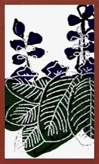 Patrón Echigo Hanafuda Deck Design by Suryong — sample card 4