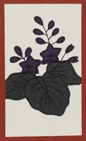 Modèle Kyoto standard (cinq lumières dorées) Hanafuda Deck Design by Traditionnel — sample card 3