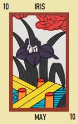 Hana Cards Hanafuda Deck Design by Various — sample 2 Hana Cards Hanafuda Deck Design by Various — sample card 2