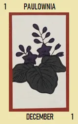 Hana Cards Hanafuda Deck Design by Various — sample card 4