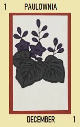 Hana Cards Hanafuda Deck Design by Various — sample card 1