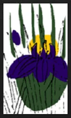 Hanamaki Pattern (without metallic overprints) Hanafuda Deck Design by Suryong — sample 2 Hanamaki Pattern (without metallic overprints) Hanafuda Deck Design by Suryong — sample card 2