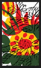 Узор Ханамаки (без металлической печати) Hanafuda Deck Design by Сурёнг — sample 4 Узор Ханамаки (без металлической печати) Hanafuda Deck Design by Сурёнг — sample card 4