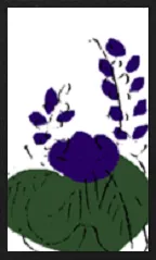 Hanamaki Pattern (without metallic overprints) Hanafuda Deck Design by Suryong — sample 3 Hanamaki Pattern (without metallic overprints) Hanafuda Deck Design by Suryong — sample card 3