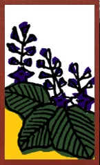 Hokkaido Pattern (without metallic overprints) Hanafuda Deck Design by Suryong — sample card 1