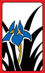 Korean Hwatu Hanafuda Deck Design by Traditional — sample card 1