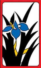 Korean Hwatu Hanafuda Deck Design by Traditional — sample 1 Korean Hwatu Hanafuda Deck Design by Traditional — sample card 1