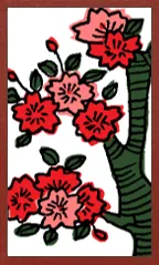 Osaka Pattern (Mushi Style) Hanafuda Deck Design by Suryong — sample card 4