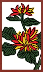 Osaka Pattern (Mushi Style) Hanafuda Deck Design by Suryong — sample card 4