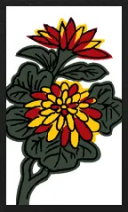 هانافودا Super-Deformed Hanafuda Deck Design by سوريونغ — sample card 1
