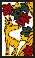 SD 하나후다 Hanafuda Deck Design by 수령 — sample 3 SD 하나후다 Hanafuda Deck Design by 수령 — sample card 3