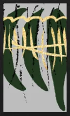 Hanamaki Pattern (with metallic overprints) Hanafuda Deck Design by Suryong — sample card 3