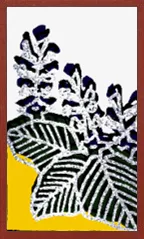 Hokkaido Pattern (with metallic overprints) Hanafuda Deck Design by Suryong — sample 2 Hokkaido Pattern (with metallic overprints) Hanafuda Deck Design by Suryong — sample card 2