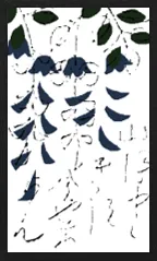 Yamagata Pattern (with metallic overprints) Hanafuda Deck Design by Suryong — sample 3 Yamagata Pattern (with metallic overprints) Hanafuda Deck Design by Suryong — sample card 3