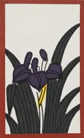 May Iris plain Hanafuda card